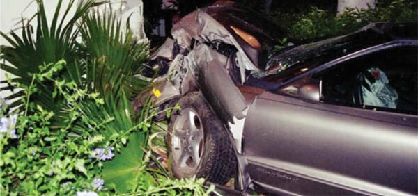 A damaged silver car crashed into a dense area of plants and foliage. The car's front end is crumpled from the impact, with the hood and bumper severely bent. The scene is surrounded by greenery, including a palm-like plant and various shrubs.